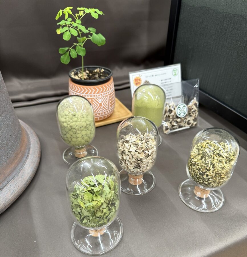 モリンガの種、パウダー、葉など